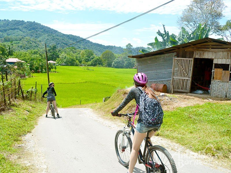 Kiulu Fun Cycling Tour 1 Day